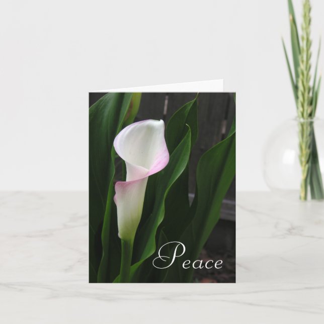 Cartes Calla Lily (Devant)