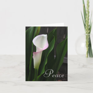 Cartes Calla Lily