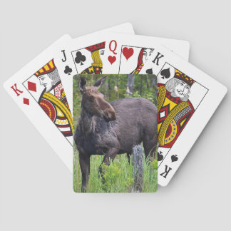 Cartes Carte de jeu d'orignal