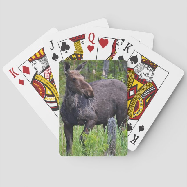Cartes Carte de jeu d'orignal (dos)