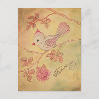 Cartes, Cartes Cardinales, Cartes Cardinales Femme