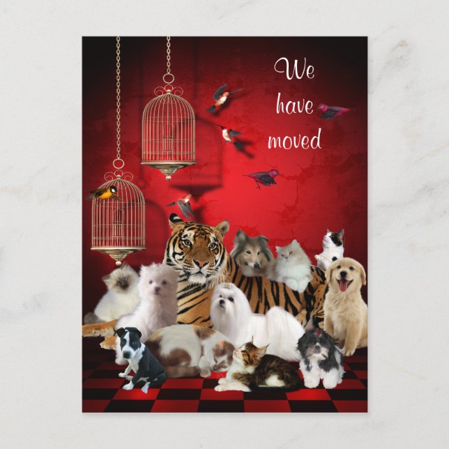 Cartes & Chats et Cages Rouges, Nous avons déménag (Devant)
