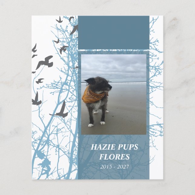 cartes commémoratives oiseaux d'argent (Devant)