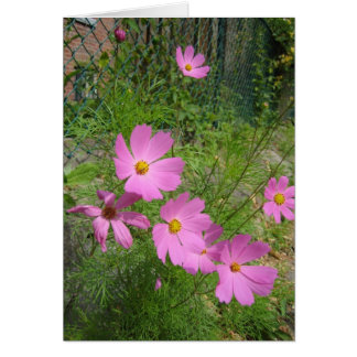 cartes cosmos
