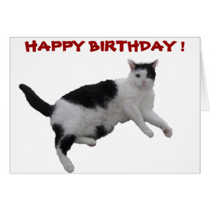 CARTES D'ANNIVERSAIRE