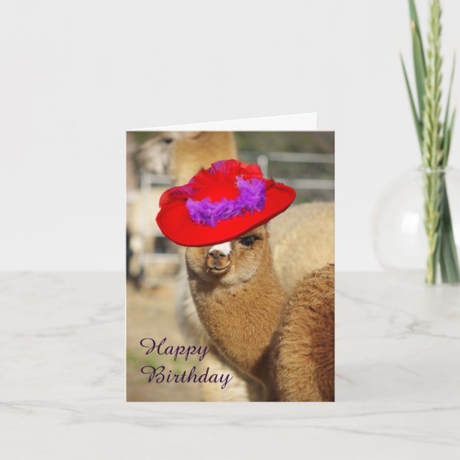 Cartes d'Anniversaire d'Alpaca (Devant)