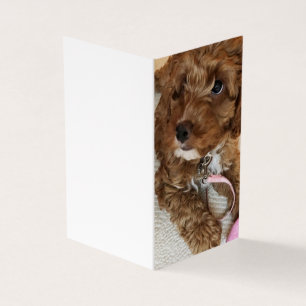 Cartes d'anniversaire de chiot de Cockapoo