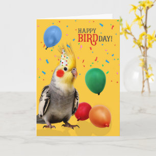Cartes d'anniversaire drôle de perroquet Cacatoès