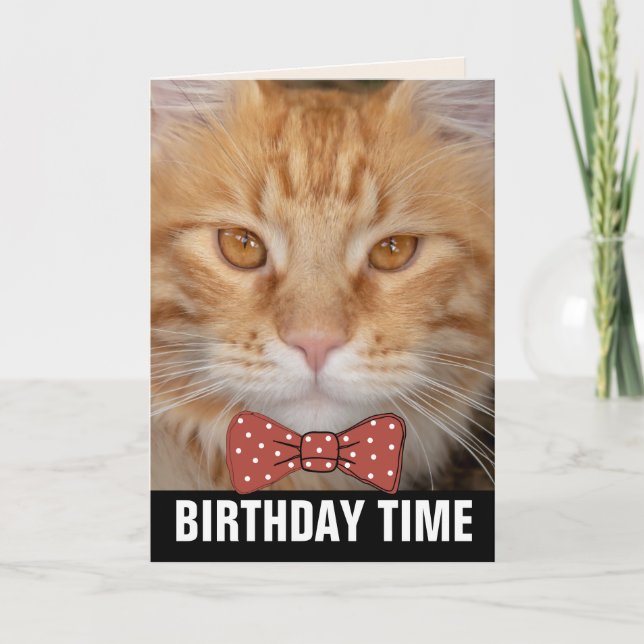 CARTES D'ANNIVERSAIRE GINGER RED CHAT (Devant)
