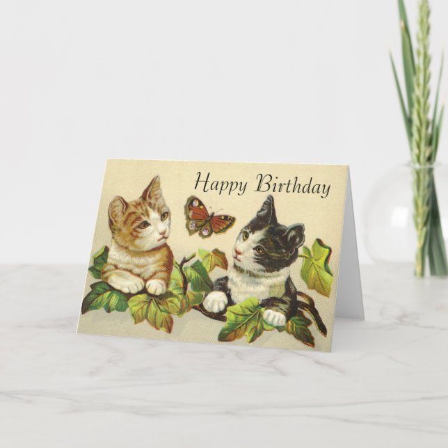 Cartes d'anniversaire joyeuses - Kittys (Devant)