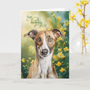 Cartes d'anniversaire Lévrier Fleurs Jaunes Minusc