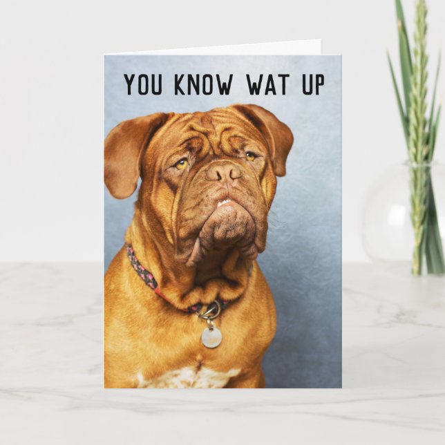 CARTES D'ANNIVERSAIRE MASTIFF CHIEN AMUSANT (Devant)