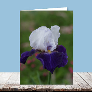 Cartes d'Anniversaire Religieux — Iris Violet