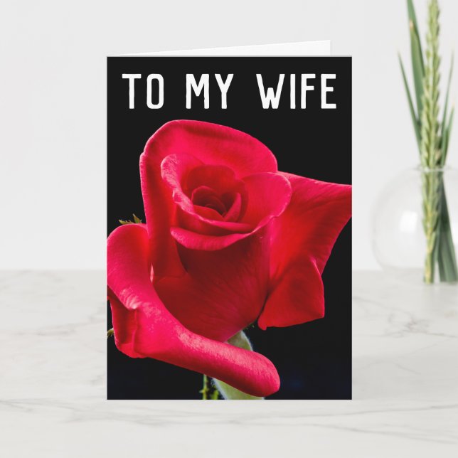 CARTES D'ANNIVERSAIRE ROMANTIQUE ROSE FEMME (Devant)