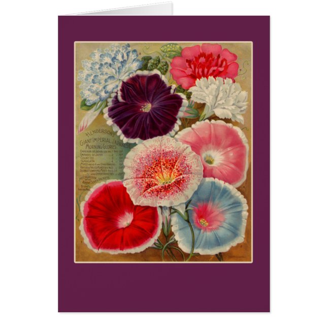 Cartes d'art de paquet de graine de gloires de (Devant)