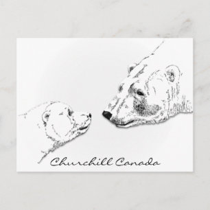 Cartes d'art pour ours polaires Churchill Canada