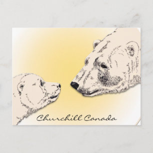 Cartes d'art pour ours polaires Churchill Canada