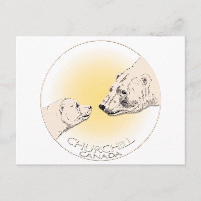 Cartes d'art pour ours polaires Churchill Canada (Devant)