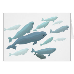 Cartes de baleines Cartes d'art personnalisées de 