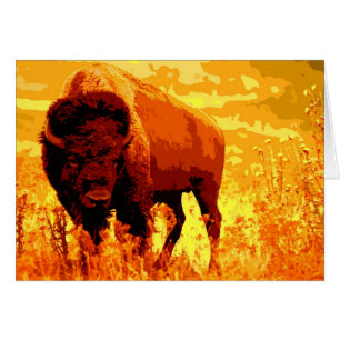 Cartes de bison/de Buffalo