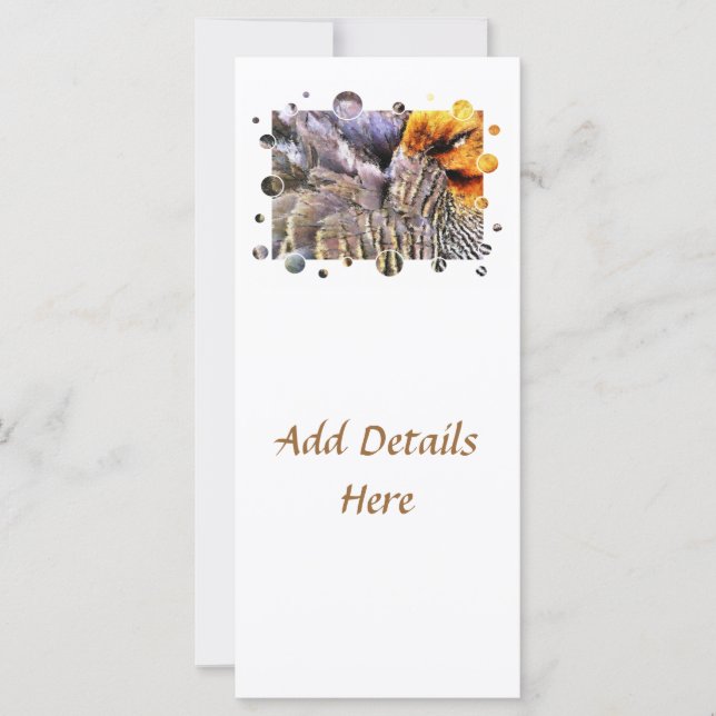 CARTES DE CANARD (Devant)