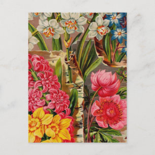 Cartes de catalogue de paquets de semences vintage