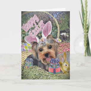 Cartes de chasse aux oeufs de Pâques Yorkie