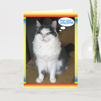 Cartes de chat, Amusant Va bien