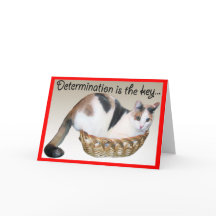 Cartes de chat, Encouragement amusant à un ami