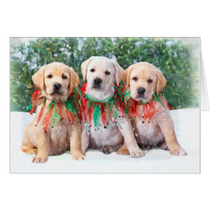 Cartes de chiot de labrador retriever
