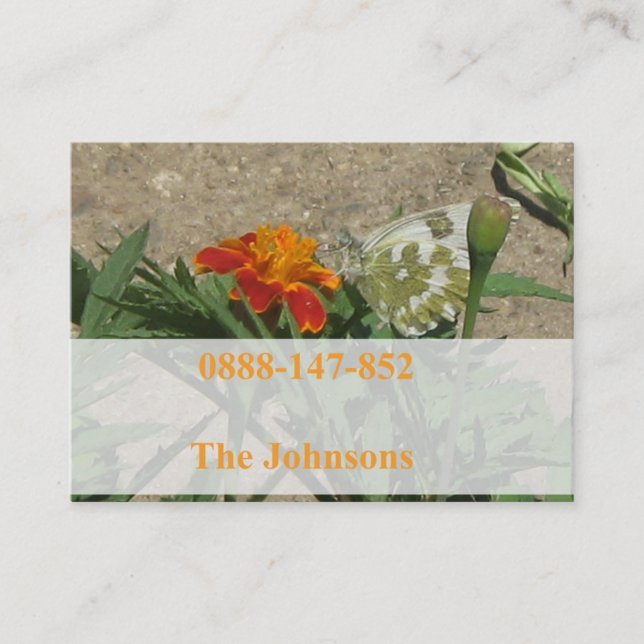 cartes de contact de famille (Devant)