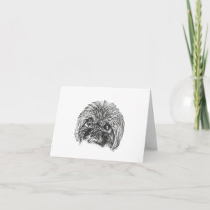 Cartes de correspondance blanc Pekingese