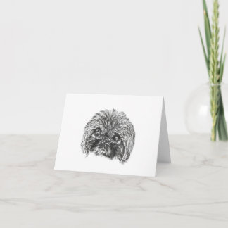 Cartes de correspondance blanc Pekingese
