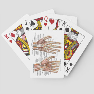 Cartes de jeu anatomiques