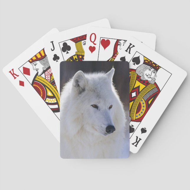 Cartes de jeu arctiques de loup blanc (dos)