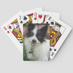 Cartes de jeu avec des chiens