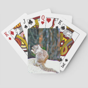 Cartes de jeu classiques d'écureuil