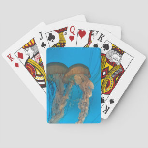 Cartes de Jeu Classiques des Marques du Pacifique