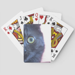Cartes de jeu de chat de Munchkin
