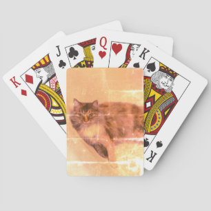 Cartes de jeu de chats