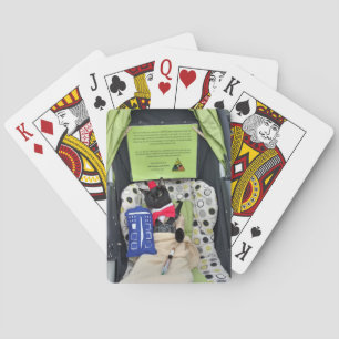 Cartes de jeu de Freddie