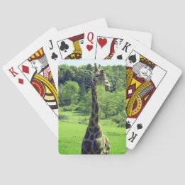 Cartes de jeu de girafe