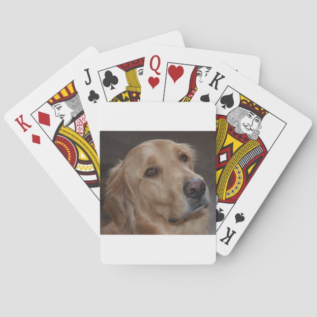 Cartes de jeu de golden retriever (dos)