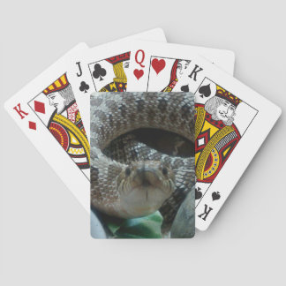 Cartes de jeu de Hognose