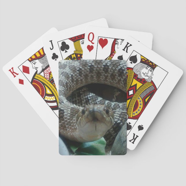 Cartes de jeu de Hognose (dos)