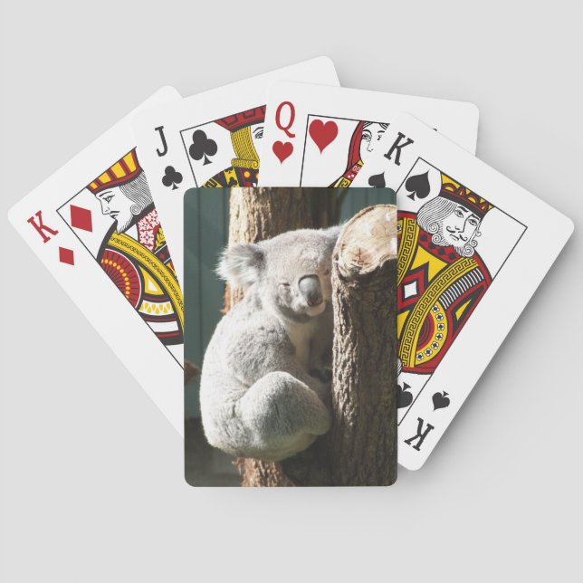 Cartes de jeu de koala (dos)