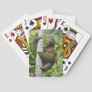 cartes de jeu de la paresse 3-Toed