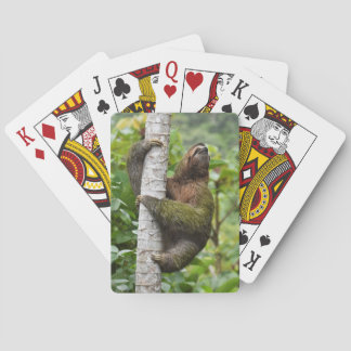 cartes de jeu de la paresse 3-Toed