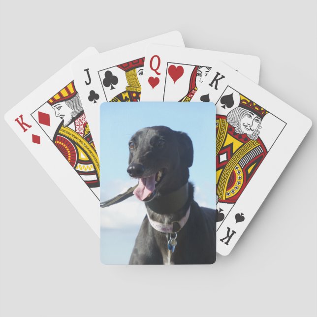 Cartes de jeu de lévrier (4) (dos)