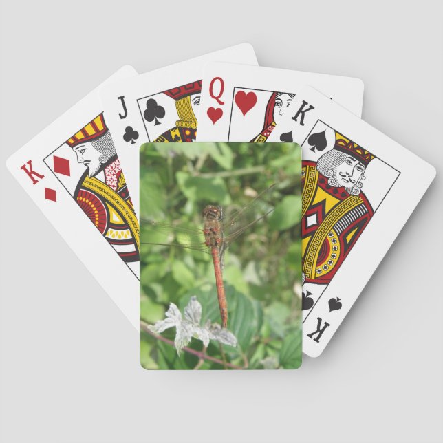 Cartes de jeu de libellules de fléchettes communes (dos)